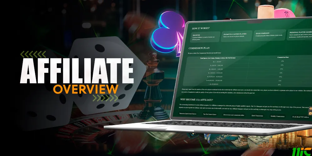 Overview of affiliate programme for India